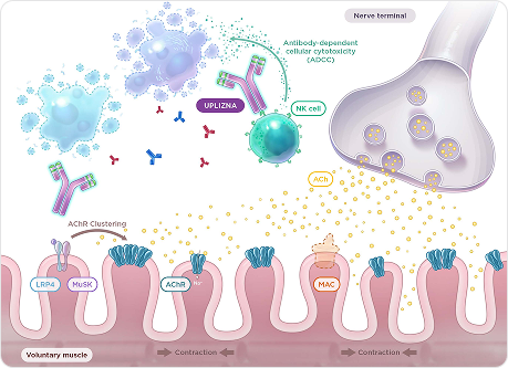 UPLIZNA What is gMG Hero Image
