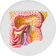 Retroperitoneum