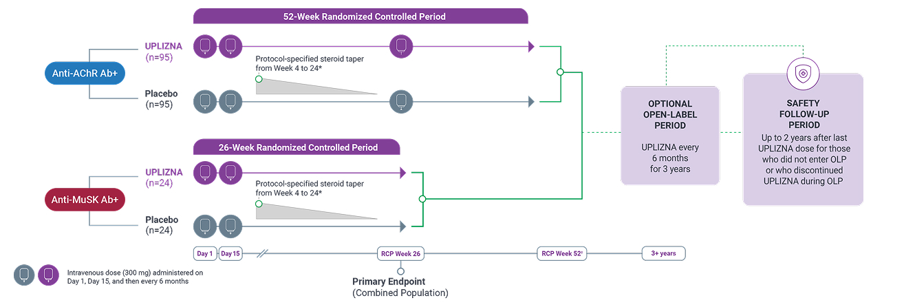 Diagram showing the MINT Study Design with UPLIZNA vs a Placebo, involving patients with AChR+ gMG or MuSK+ gMG