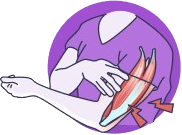 Limbs and neck gMG symptoms