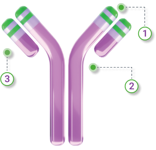 auto-antibody-mobile