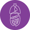 Digestive system icon