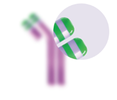 Selective targeting graphic