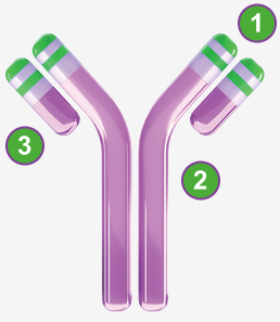 UPLIZNA® molecule