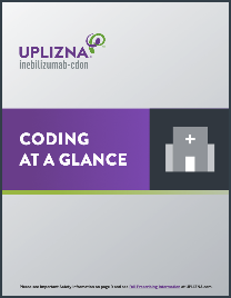 UPLIZNA Coding at a Glance PDF