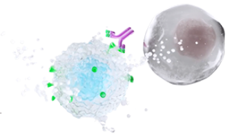 mechanism-of-action-banner