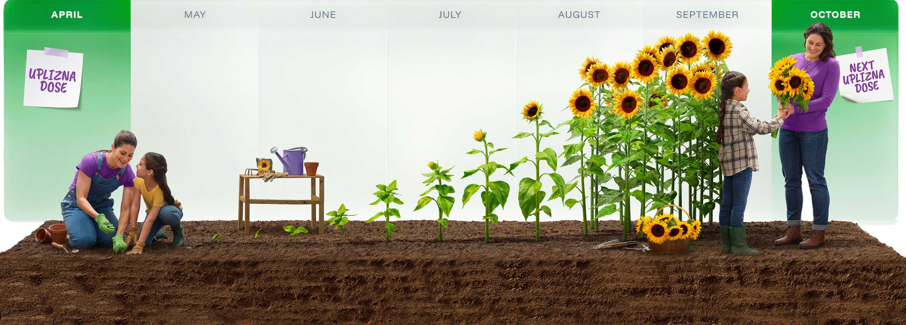 UPLIZNA gMG header image